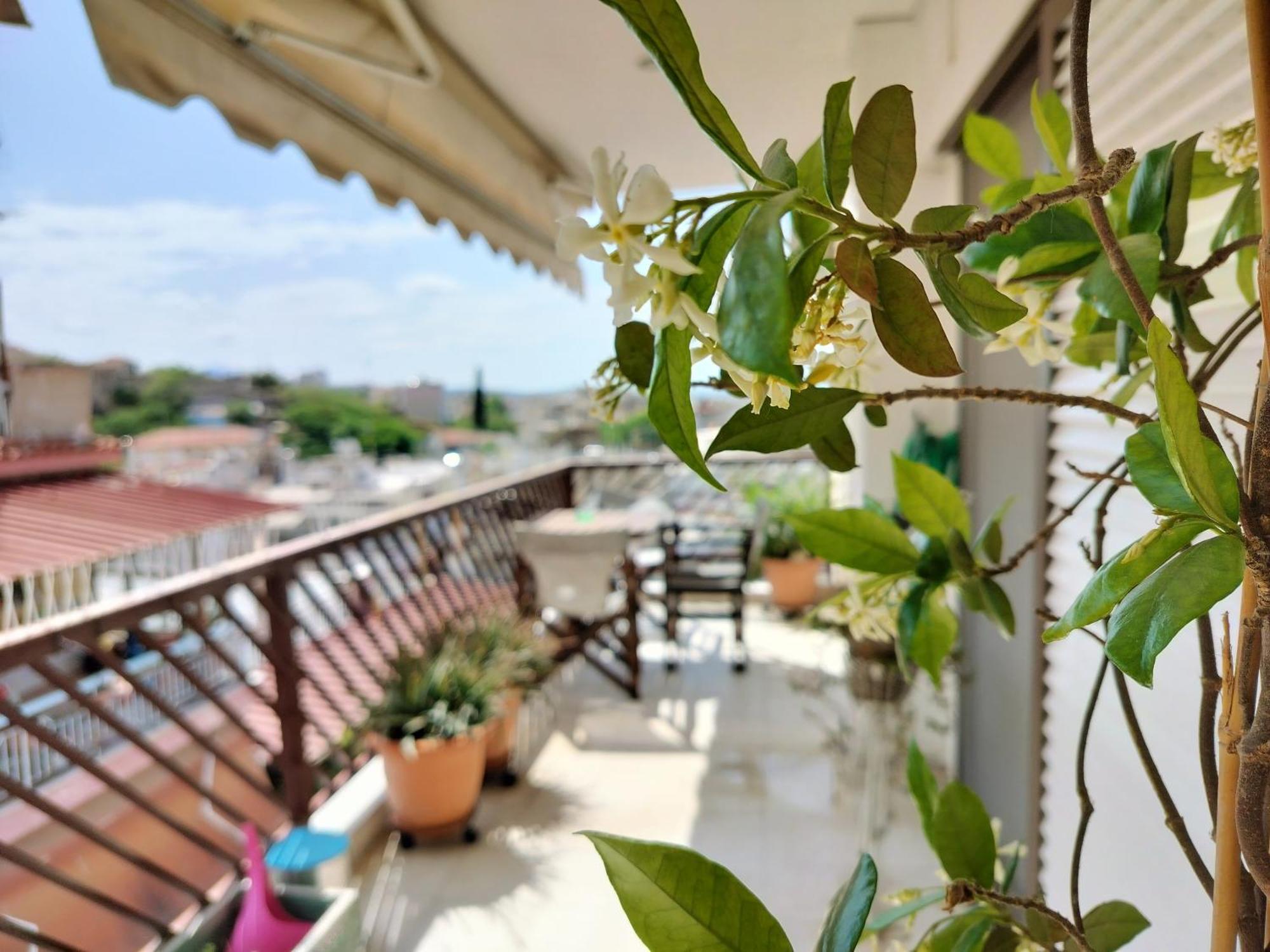 Castleview 2Br Welcome Stay Spacious Lux Apartment Thessaloníki Eksteriør bilde